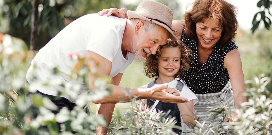 Children's Dental Services, Châteauguay Dentist